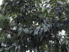 -南极·小龙虾·湘式拌饭(南街店)