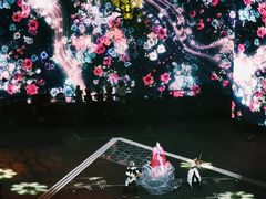 -成都金融城演艺中心