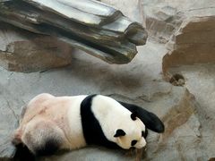 -宁波野生动物园