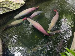 -青青世界