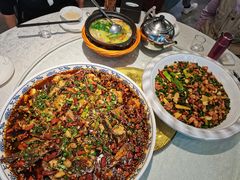 -新概念来凤鱼(璧山店)