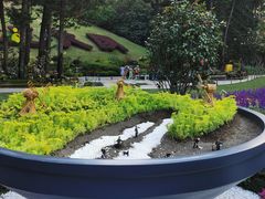 -深圳仙湖植物园