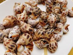 白灼旺螺苦螺-莲花公园煎蟹(总店)