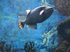 -多彩贵州城极地海洋世界