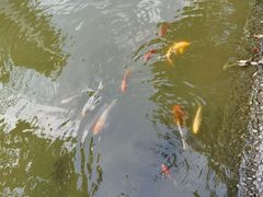 -上海市保健医疗中心