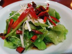 油泼生菜-窄巷子陕菜馆·地道陕西菜(粉巷店)