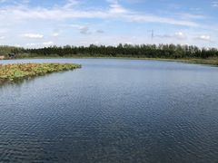 -溱湖国家湿地公园