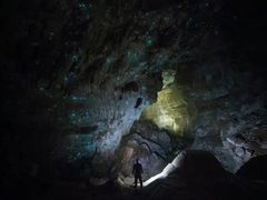 -怀托摩萤火虫洞