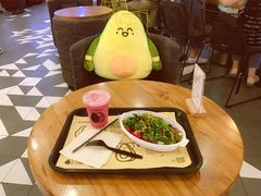 -油梨树 AVOCADO TREE(亮马桥店)