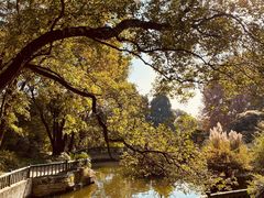 -东湖落雁景区