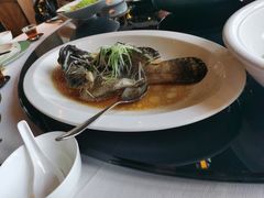 荷叶蒸老虎斑-三号黄浦会Canton Table