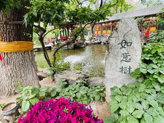 -白家大院·王府宫廷菜(苏州街店)