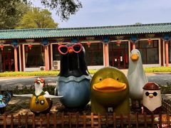 -野鸭湖国家湿地公园