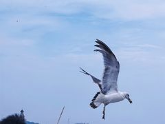 -大连老虎滩海洋公园