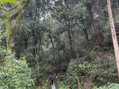-随意茶庄·地道杭帮农家菜(梅家坞店)