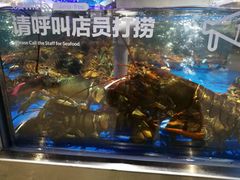 -盒马鲜生(财富中心店)