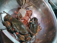 -七欣天香辣蟹火锅(上海奉贤杭州湾生活广场店)