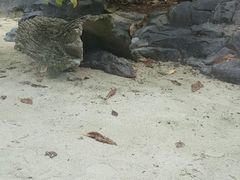 -河川生态园