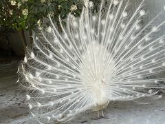 -宿豫区运河湾森林动物园