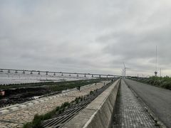-南汇新城海滩