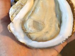 -新华阿喜烧烤(嘉泰雅园店)