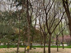 -北极寺公园