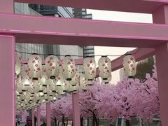 -金茂览秀城