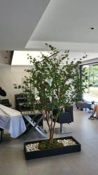 -付军剪艺JF ProSalon