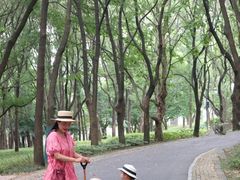 -东湖落雁景区