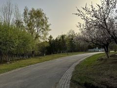 -莫子山公园