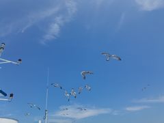 -海驴岛(荣成市)