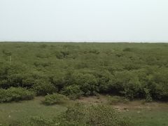 -北海金海湾红树林生态旅游区