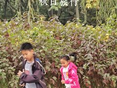 -西安汉城湖景区