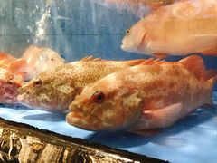-徐记海鲜(大雁塔|金都店)