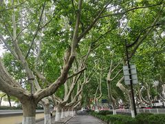 -南京钟山宾馆(江苏省会议中心)