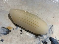-鮨心和(外滩店)