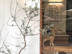 门面-COTTON CAFE(德信·中外公寓店)