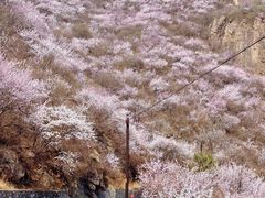-妙峰山风景名胜区