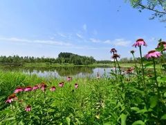 -东郊湿地公园