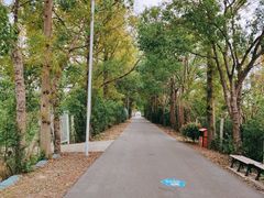 -上海长兴岛郊野公园