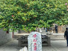 -崂山仰口游览区