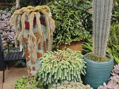 -山菌美食苑(振兴路店)