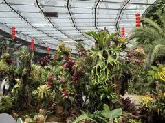 -北京植物园-展览温室