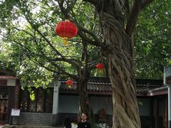 -惠州西湖丰渚园