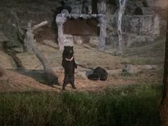 -清迈夜间动物园