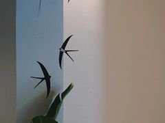 -COTTON CAFE(德信·中外公寓店)