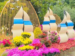 -上海共青森林公园