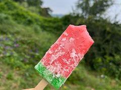 -北京西山国家森林公园