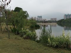 -飞来湖湿地公园