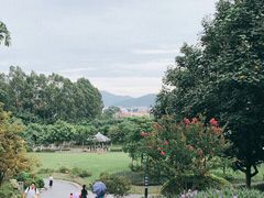 -火炉山森林公园
